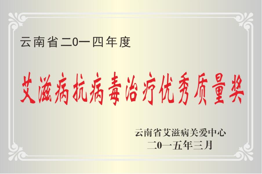 云南省2014年度艾滋病抗病毒治疗优秀质量奖