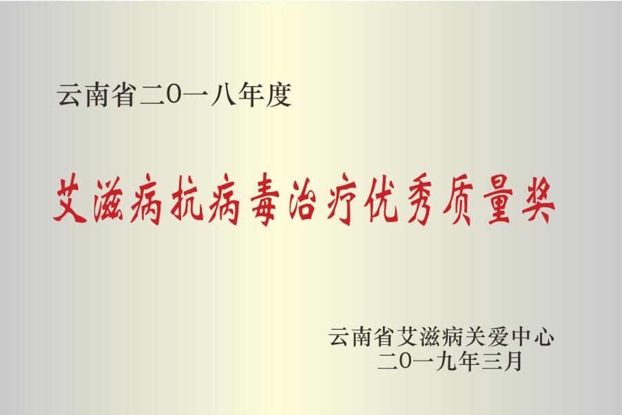 云南省2018年度艾滋病抗病毒治疗优秀质量奖